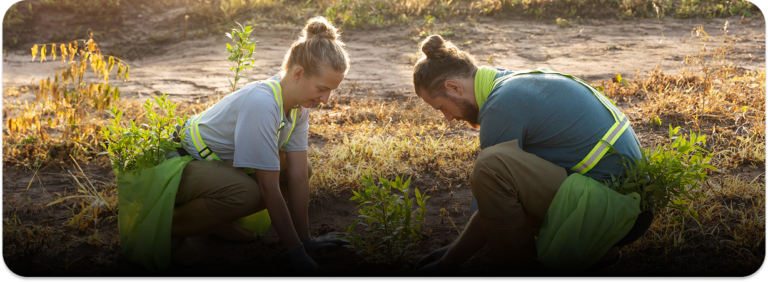 people-planting-tree-countryside (1)
